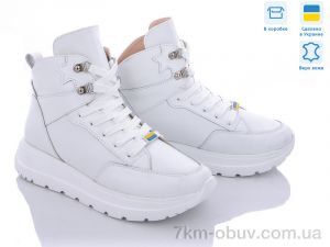 купить Stella 176-T7 оптом