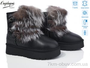 купить Dageni HAL5889-1 оптом