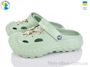 купить Jose Amorales 124601 оптом