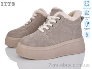 купить ITTS DD7573-17 оптом