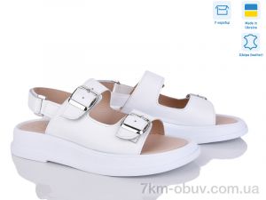 купить Ailinda 327-8 оптом
