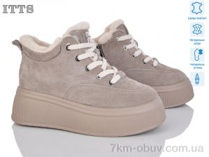 купить ITTS DD7570-17 оптом