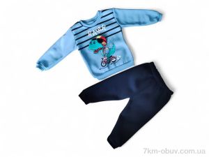 купить Kids-modnik 3106 блакитний реглан-штани оптом