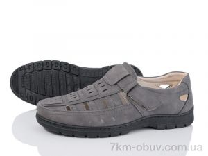 купить Baolikang Y831-16 оптом
