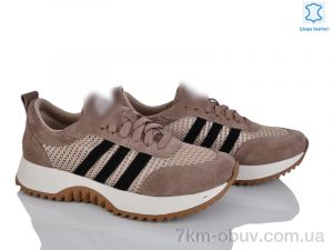 купить Stella 137-11 оптом