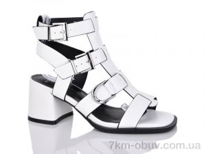 купить Teetspace-Trasta-Egga XL1719-26 оптом
