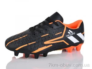 купить ASHIGULI C09-31 оптом