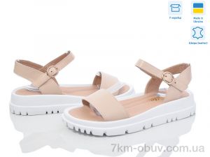 купить Stella 163-6 оптом