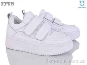 купить ITTS S952-F оптом