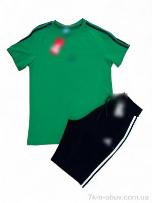 купить Verton Y4-1 green-black оптом