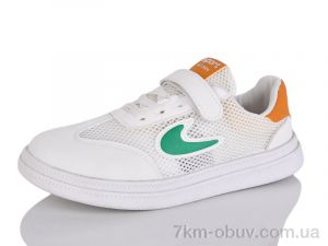 купить ASHIGULI 2068-6 оптом