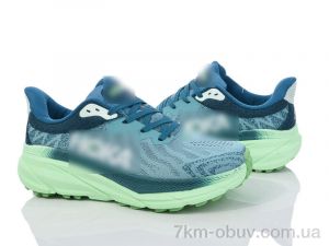 купить Violeta HD74 (1106)-10 green-navy оптом