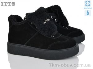 купить ITTS DD7600-1 оптом