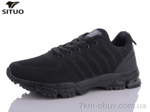 купить Situo B453-1 оптом