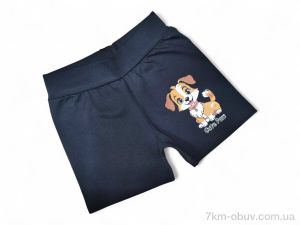 купить Kids-modnik 13142 чорний оптом