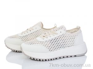 купить Baolikang G06-5 оптом