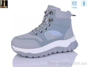 купить Lilin G670-2 оптом