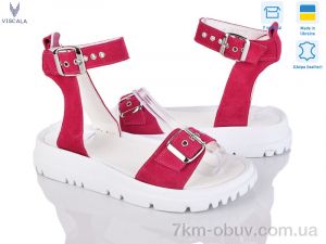 купить Viscala 23811 мал.з. оптом