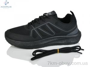 купить Acorus K253 оптом