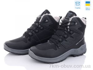 купить Paolla 365-6113 оптом