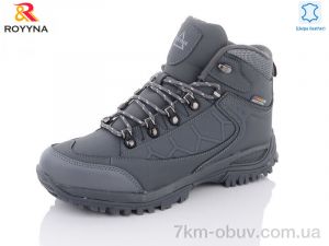 купить ROYYNA 072RB-6-43 оптом