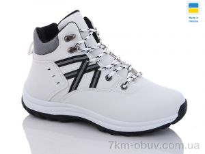 купить Swin 6643-3 оптом