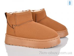 купить Lion-Lu CL2517 оптом