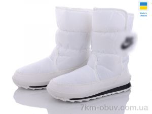 купить Favorit G112-8 НБ оптом