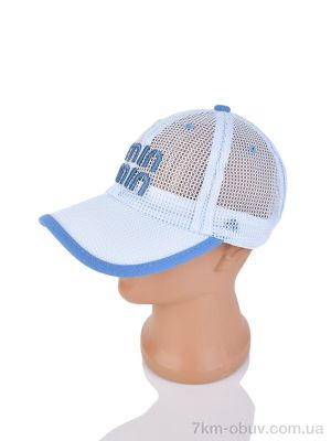 купить Королева 12-06 l.blue (54) оптом
