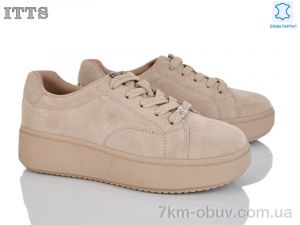 купить ITTS K690-C оптом