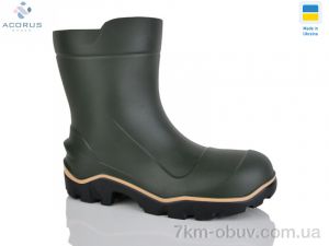 купить Acorus LT зелений оптом