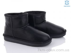 купить Захар-Gold NT5854-7 оптом