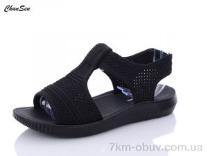 купить Chunsen D02-1 оптом
