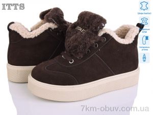 купить ITTS DD7600-41 оптом