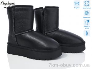 купить Dageni HAL5835-1 оптом