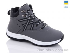 купить Swin 6643-2 оптом