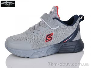 купить Baas K6543-2 оптом