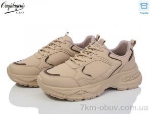 купить Dageni 9905-5 оптом