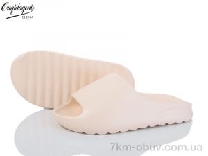 купить Dageni 1505-3 оптом