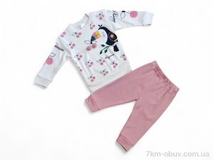 купить Kids-modnik 35652 т.пудровий реглан-штани оптом