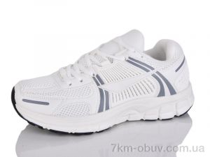 купить Moli B8029-2 оптом