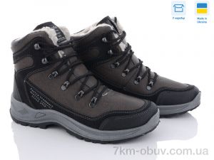 купить Paolla 361-6513 коричневий оптом