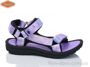 купить EeBb 1647 purple оптом