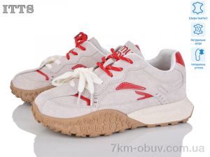 купить ITTS BSDY25-3 beige оптом