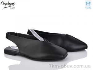 купить Dageni 686-1B оптом