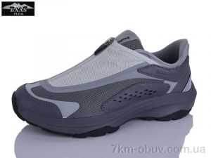 купить Baas W3169-7 оптом