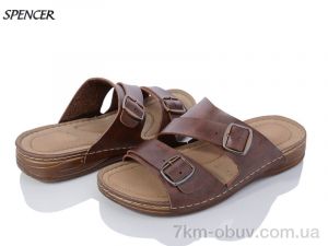 купить Spencer 02 brown оптом