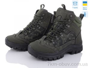 купить Paolla 2104 хакі оптом