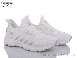 купить оптом Dageni A2391-2