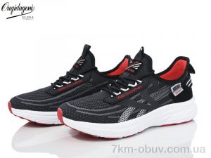 купить Dageni A2522-3 оптом